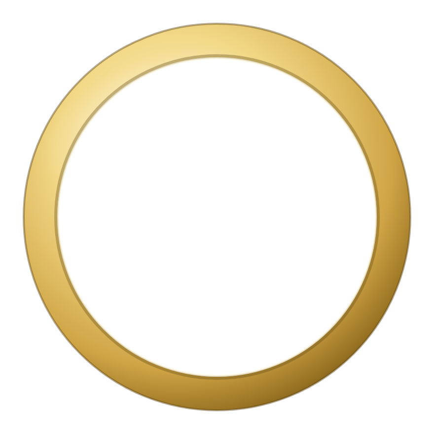 Gold Chrome port hole ring